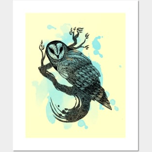 Barn Owl Posters and Art